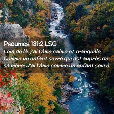 Picture 02 - Psaumes 131:2 LSG - Loin de là, j'ai l'âme calme et tranquille, - Bible Verse Picture