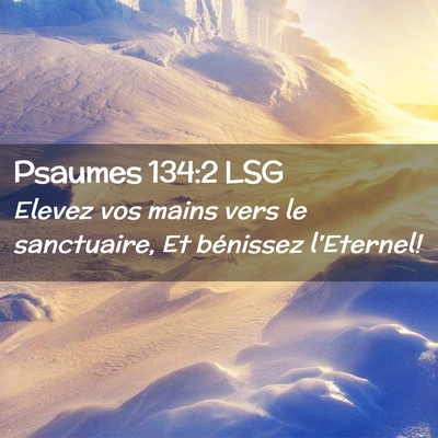 Picture 02 - Psaumes 134:2 LSG - Elevez vos mains vers le sanctuaire, Et bénissez - Bible Verse Picture