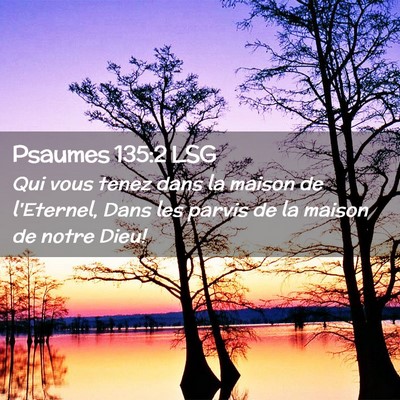 Picture 02 - Psaumes 135:2 LSG - Qui vous tenez dans la maison de l'Eternel, Dans - Bible Verse Picture