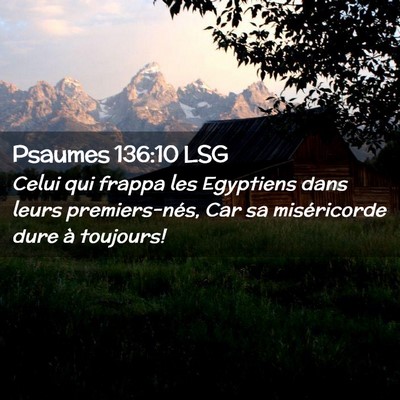 Picture 02 - Psaumes 136:10 LSG - Celui qui frappa les Egyptiens dans leurs - Bible Verse Picture
