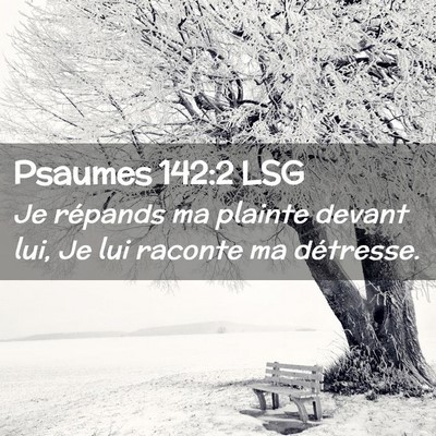 Picture 02 - Psaumes 142:2 LSG - Je répands ma plainte devant lui, Je lui raconte - Bible Verse Picture