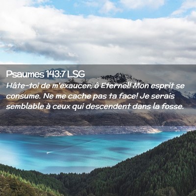 Picture 02 - Psaumes 143:7 LSG - Hâte-toi de m'exaucer, ô Eternel! Mon esprit se - Bible Verse Picture