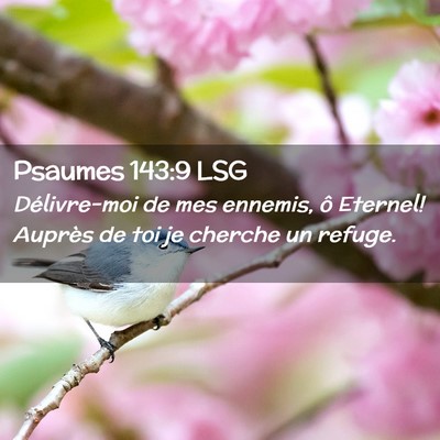 Picture 02 - Psaumes 143:9 LSG - Délivre-moi de mes ennemis, ô Eternel! Auprès - Bible Verse Picture