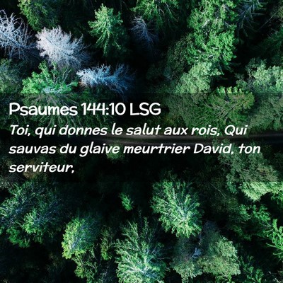 Picture 02 - Psaumes 144:10 LSG - Toi, qui donnes le salut aux rois, Qui sauvas du - Bible Verse Picture