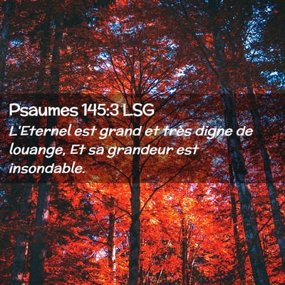 Picture 02 - Psaumes 145:3 LSG - L'Eternel est grand et très digne de louange, Et - Bible Verse Picture