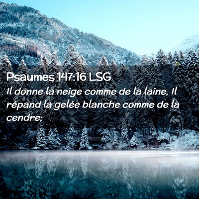 Picture 02 - Psaumes 147:16 LSG - Il donne la neige comme de la laine, Il répand - Bible Verse Picture