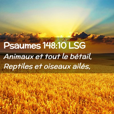 Picture 02 - Psaumes 148:10 LSG - Animaux et tout le bétail, Reptiles et oiseaux - Bible Verse Picture