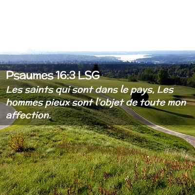 Picture 02 - Psaumes 16:3 LSG - Les saints qui sont dans le pays, Les hommes - Bible Verse Picture