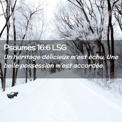 Picture 02 - Psaumes 16:6 LSG - Un héritage délicieux m'est échu, Une belle - Bible Verse Picture