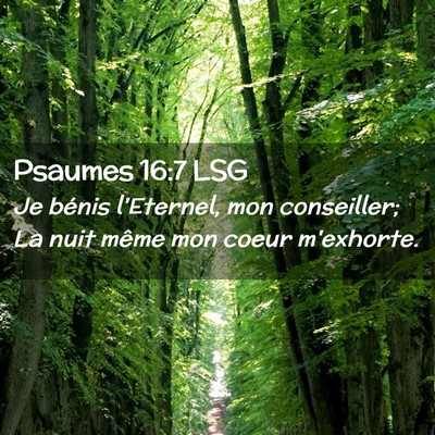Picture 02 - Psaumes 16:7 LSG - Je bénis l'Eternel, mon conseiller; La nuit - Bible Verse Picture