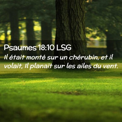 Picture 02 - Psaumes 18:10 LSG - Il était monté sur un chérubin, et il volait, - Bible Verse Picture