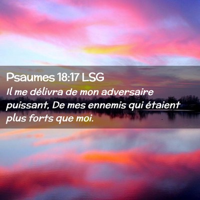 Picture 02 - Psaumes 18:17 LSG - Il me délivra de mon adversaire puissant, De mes - Bible Verse Picture