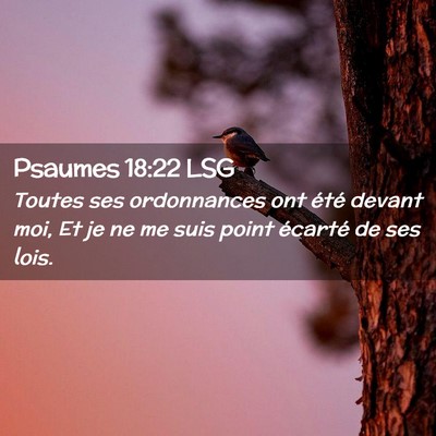 Picture 02 - Psaumes 18:22 LSG - Toutes ses ordonnances ont été devant moi, Et - Bible Verse Picture