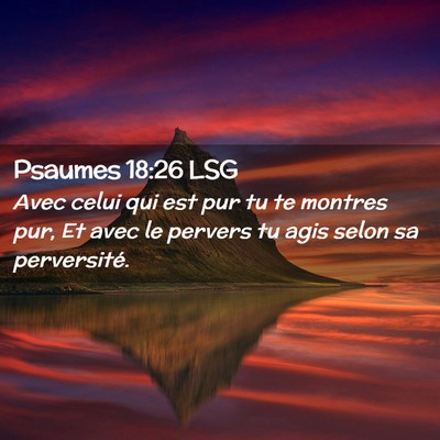 Picture 02 - Psaumes 18:26 LSG - Avec celui qui est pur tu te montres pur, Et avec - Bible Verse Picture
