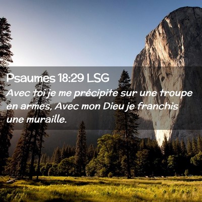 Picture 02 - Psaumes 18:29 LSG - Avec toi je me précipite sur une troupe en - Bible Verse Picture