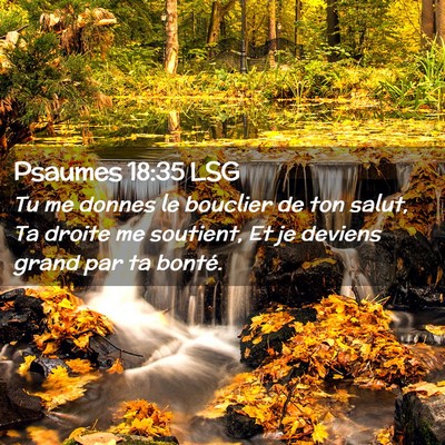 Picture 02 - Psaumes 18:35 LSG - Tu me donnes le bouclier de ton salut, Ta droite - Bible Verse Picture
