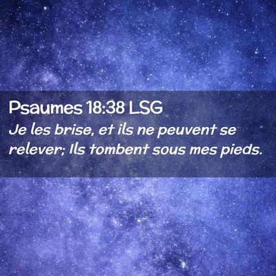 Picture 02 - Psaumes 18:38 LSG - Je les brise, et ils ne peuvent se relever; Ils - Bible Verse Picture