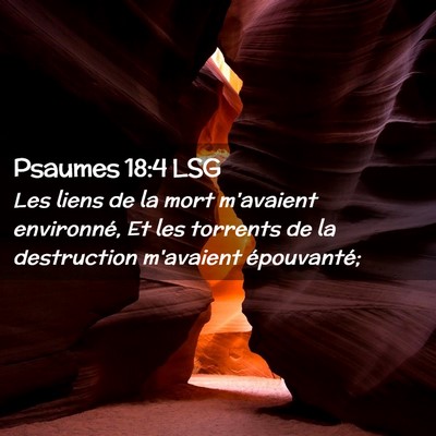 Picture 02 - Psaumes 18:4 LSG - Les liens de la mort m'avaient environné, Et les - Bible Verse Picture