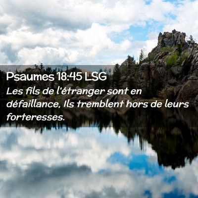 Picture 02 - Psaumes 18:45 LSG - Les fils de l'étranger sont en défaillance, Ils - Bible Verse Picture