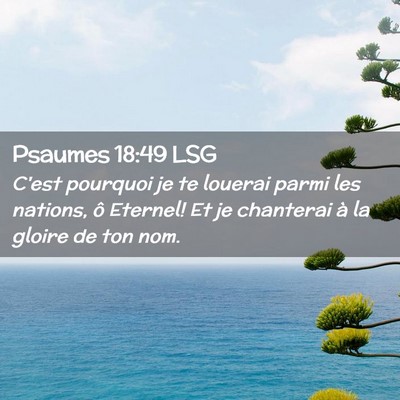 Picture 02 - Psaumes 18:49 LSG - C'est pourquoi je te louerai parmi les nations, - Bible Verse Picture