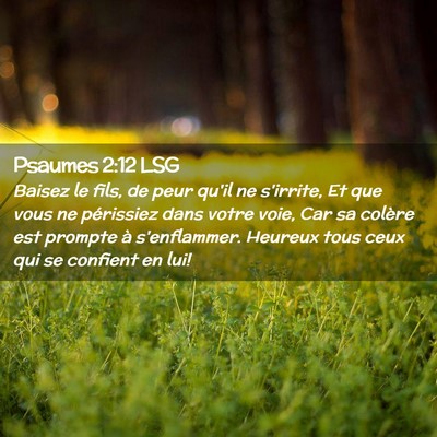 Picture 02 - Psaumes 2:12 LSG - Baisez le fils, de peur qu'il ne s'irrite, Et que - Bible Verse Picture