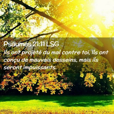 Picture 02 - Psaumes 21:11 LSG - Ils ont projeté du mal contre toi, Ils ont - Bible Verse Picture