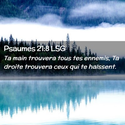 Picture 02 - Psaumes 21:8 LSG - Ta main trouvera tous tes ennemis, Ta droite - Bible Verse Picture