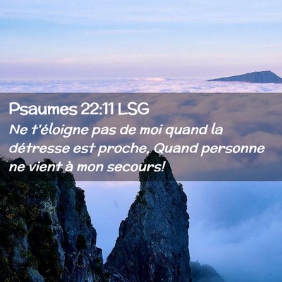 Picture 02 - Psaumes 22:11 LSG - Ne t'éloigne pas de moi quand la détresse est - Bible Verse Picture