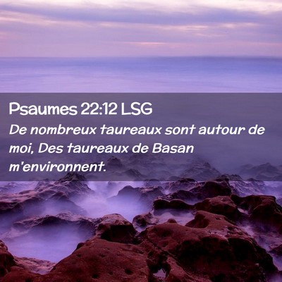 Picture 02 - Psaumes 22:12 LSG - De nombreux taureaux sont autour de moi, Des - Bible Verse Picture