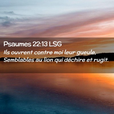 Picture 02 - Psaumes 22:13 LSG - Ils ouvrent contre moi leur gueule, Semblables au - Bible Verse Picture