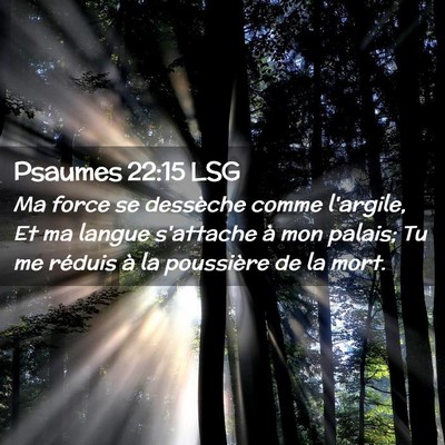 Picture 02 - Psaumes 22:15 LSG - Ma force se dessèche comme l'argile, Et ma - Bible Verse Picture