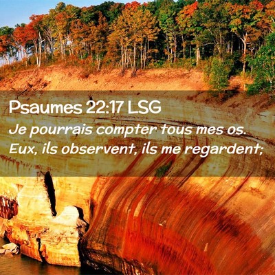 Picture 02 - Psaumes 22:17 LSG - Je pourrais compter tous mes os. Eux, ils - Bible Verse Picture