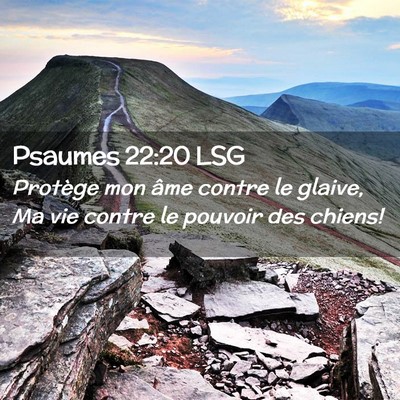 Picture 02 - Psaumes 22:20 LSG - Protège mon âme contre le glaive, Ma vie contre - Bible Verse Picture