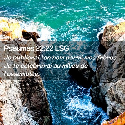 Picture 02 - Psaumes 22:22 LSG - Je publierai ton nom parmi mes frères, Je te - Bible Verse Picture