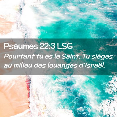 Picture 02 - Psaumes 22:3 LSG - Pourtant tu es le Saint, Tu sièges au milieu des - Bible Verse Picture