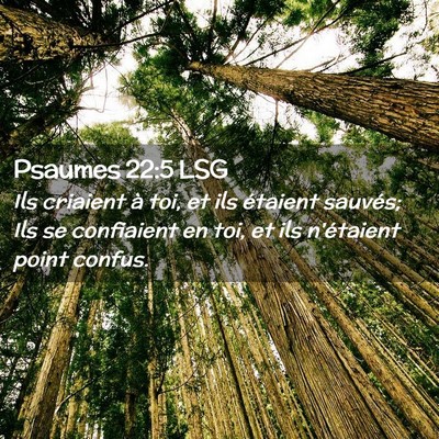 Picture 02 - Psaumes 22:5 LSG - Ils criaient à toi, et ils étaient sauvés; Ils - Bible Verse Picture