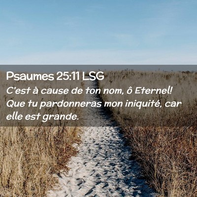 Picture 02 - Psaumes 25:11 LSG - C'est à cause de ton nom, ô Eternel! Que tu - Bible Verse Picture