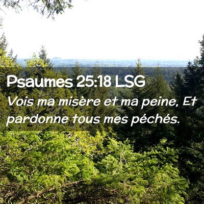 Picture 02 - Psaumes 25:18 LSG - Vois ma misère et ma peine, Et pardonne tous mes - Bible Verse Picture