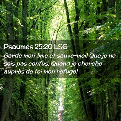 Picture 02 - Psaumes 25:20 LSG - Garde mon âme et sauve-moi! Que je ne sois pas - Bible Verse Picture