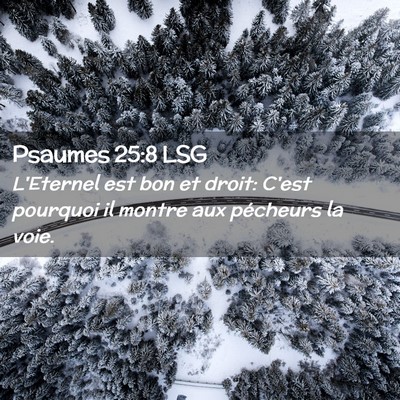 Picture 02 - Psaumes 25:8 LSG - L'Eternel est bon et droit: C'est pourquoi il - Bible Verse Picture