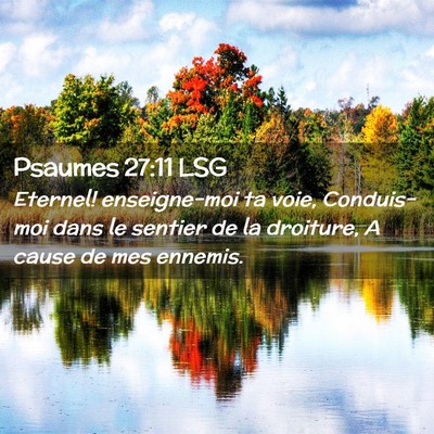 Picture 02 - Psaumes 27:11 LSG - Eternel! enseigne-moi ta voie, Conduis-moi dans - Bible Verse Picture