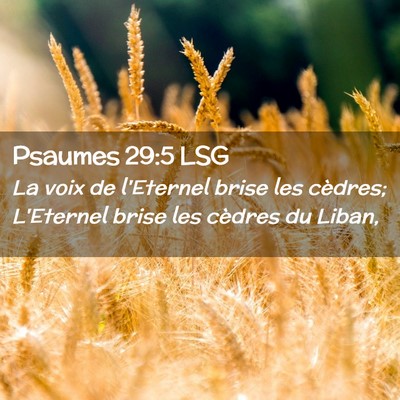 Picture 02 - Psaumes 29:5 LSG - La voix de l'Eternel brise les cèdres; L'Eternel - Bible Verse Picture