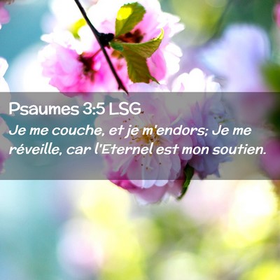 Picture 02 - Psaumes 3:5 LSG - Je me couche, et je m'endors; Je me réveille, - Bible Verse Picture
