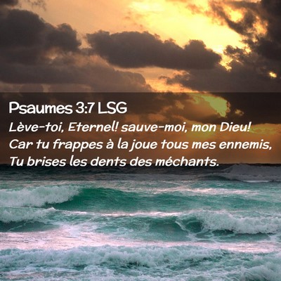 Picture 02 - Psaumes 3:7 LSG - Lève-toi, Eternel! sauve-moi, mon Dieu! Car tu - Bible Verse Picture