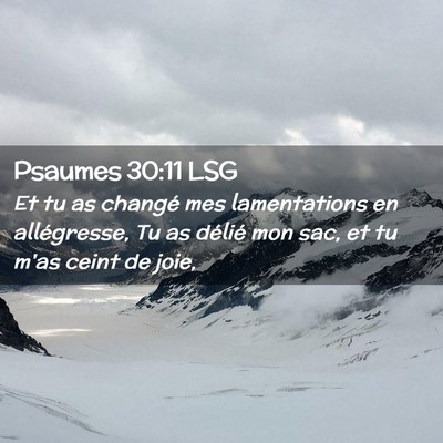 Picture 02 - Psaumes 30:11 LSG - Et tu as changé mes lamentations en allégresse, - Bible Verse Picture