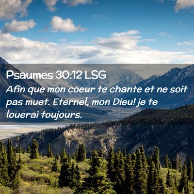 Picture 02 - Psaumes 30:12 LSG - Afin que mon coeur te chante et ne soit pas muet. - Bible Verse Picture