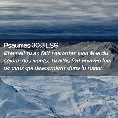 Picture 02 - Psaumes 30:3 LSG - Eternel! tu as fait remonter mon âme du séjour - Bible Verse Picture