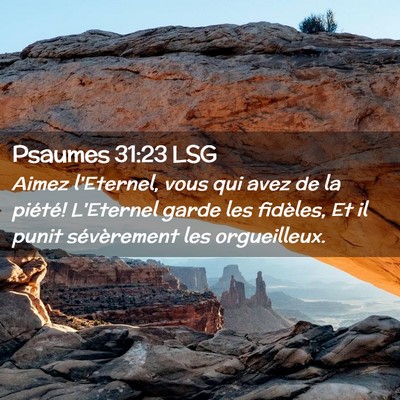Picture 02 - Psaumes 31:23 LSG - Aimez l'Eternel, vous qui avez de la piété! - Bible Verse Picture