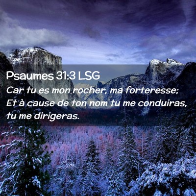 Picture 02 - Psaumes 31:3 LSG - Car tu es mon rocher, ma forteresse; Et à cause - Bible Verse Picture