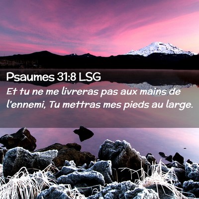 Picture 02 - Psaumes 31:8 LSG - Et tu ne me livreras pas aux mains de l'ennemi, - Bible Verse Picture
